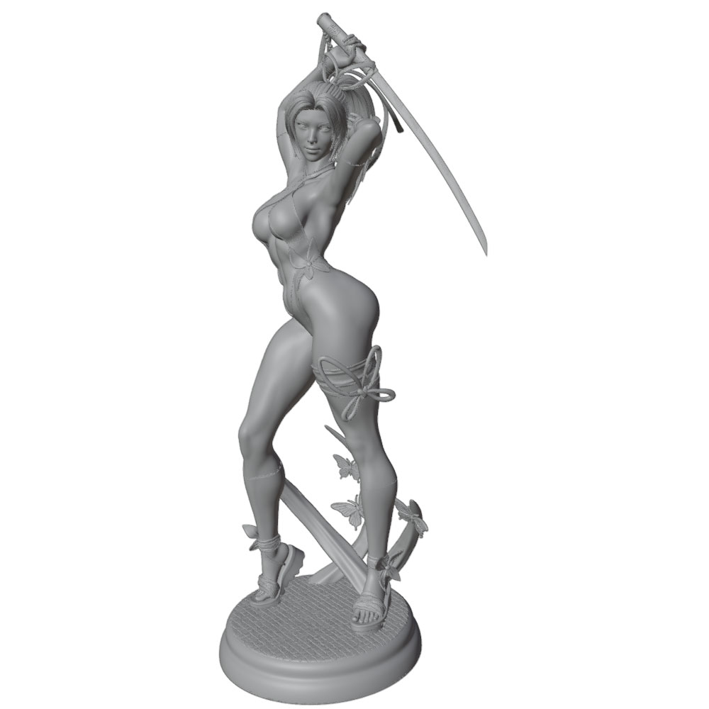 1/24 Female 	Warrior Resin Mod - 3D Printing Article review and price